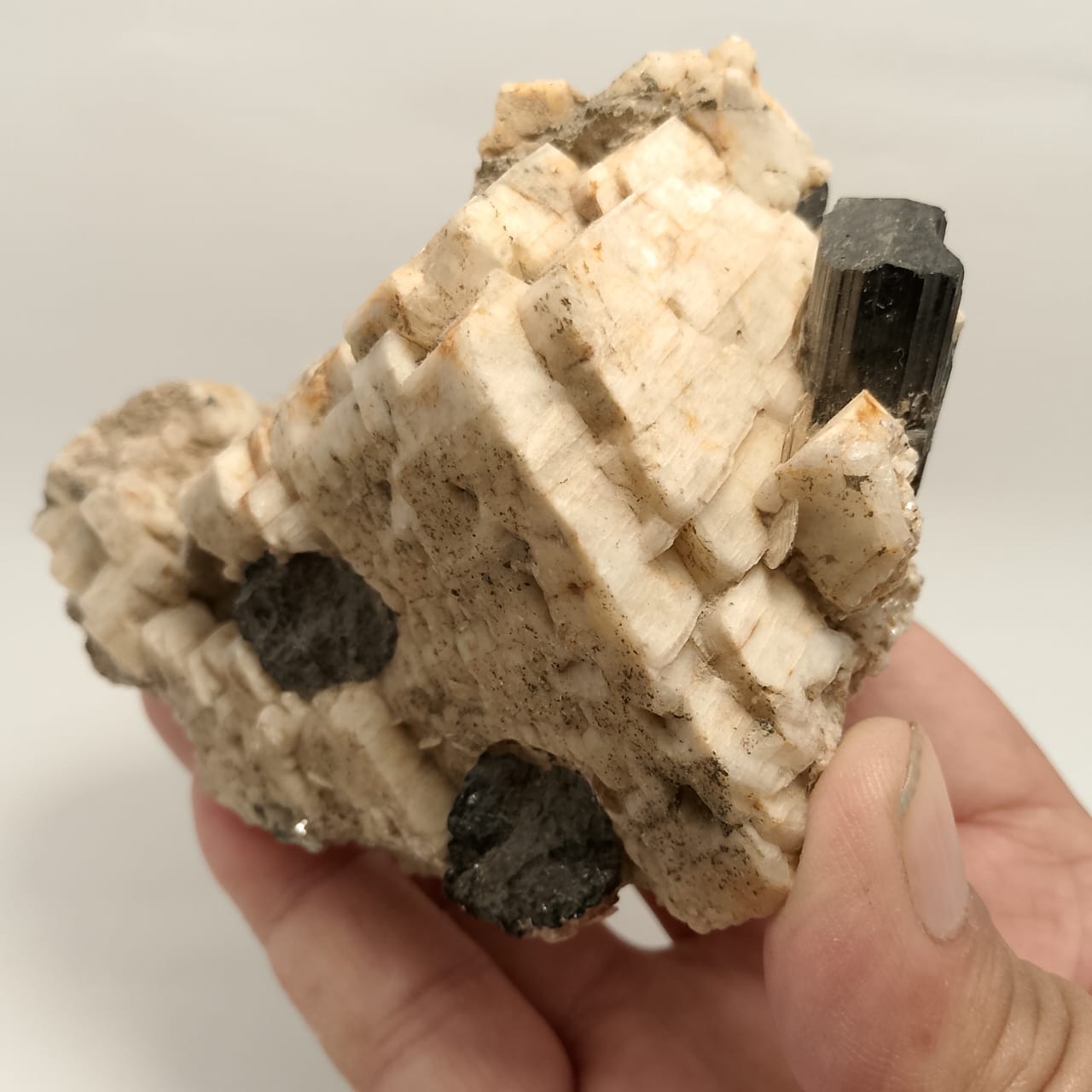 Natural Specimen along with Tourmaline crystals | 438g | Rs 200 per gram
