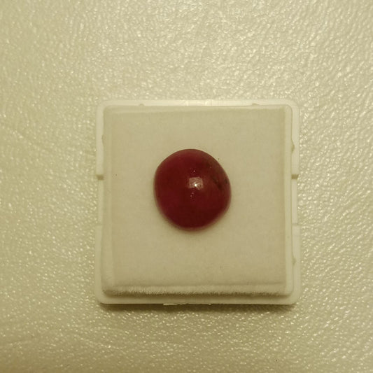 Ruby of Afghanistan | 1 to 6 carat